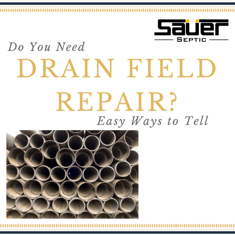 Do You Need Drain Field Repair? Easy Ways to Tell