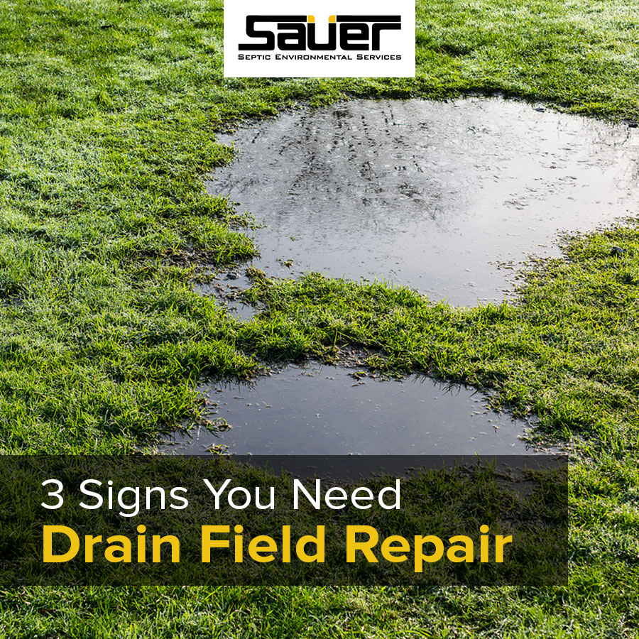 3 Signs You Need Drain field Repair