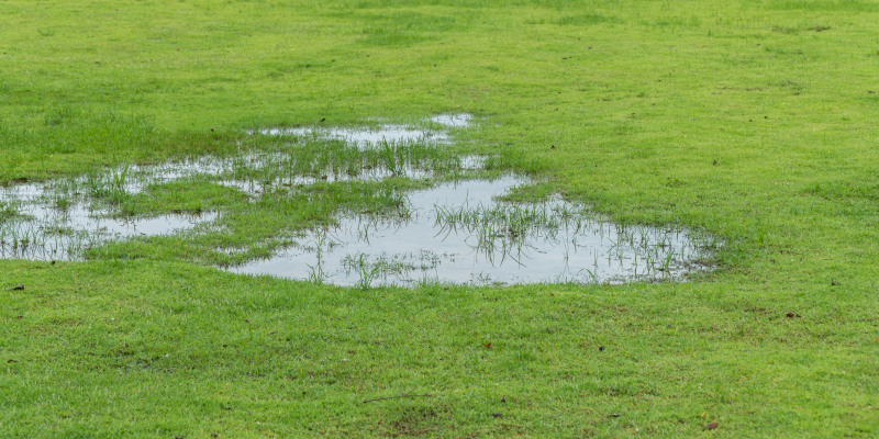 What to Expect From a Drain Field Inspection